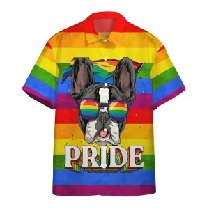 Ally Pride 3D Shirt Awesome Background Design Hawaiian Shirt, Hawaiian Pride