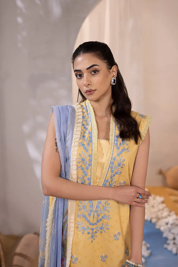 Ellena | Luxury Embroidered Collection| P-02