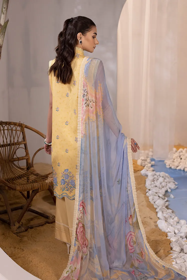 Ellena | Luxury Embroidered Collection| P-02