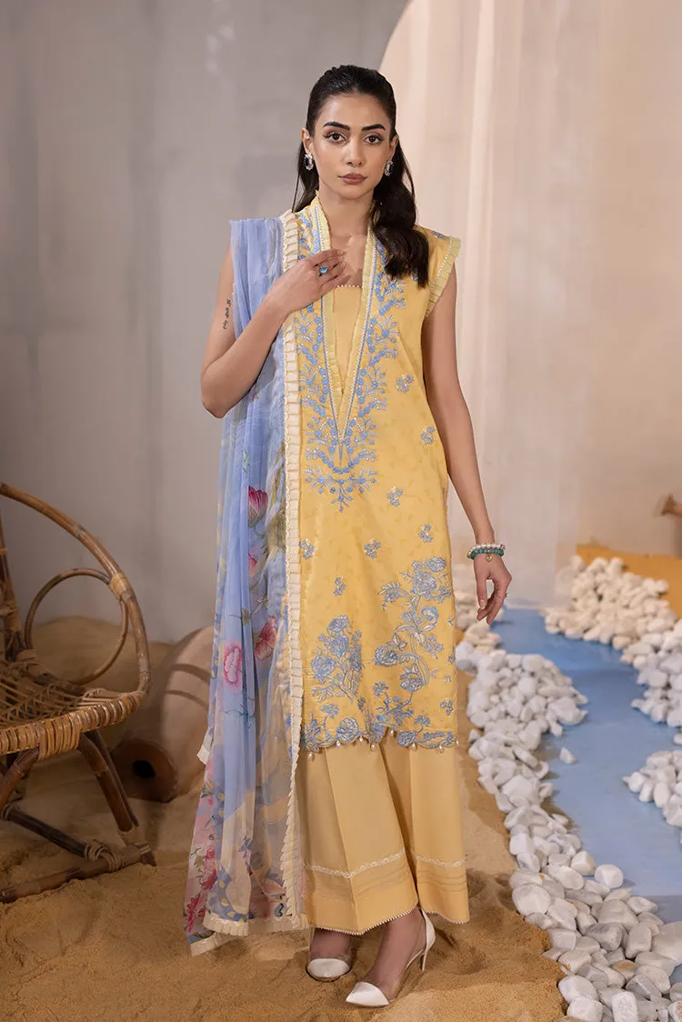 Ellena | Luxury Embroidered Collection| P-02