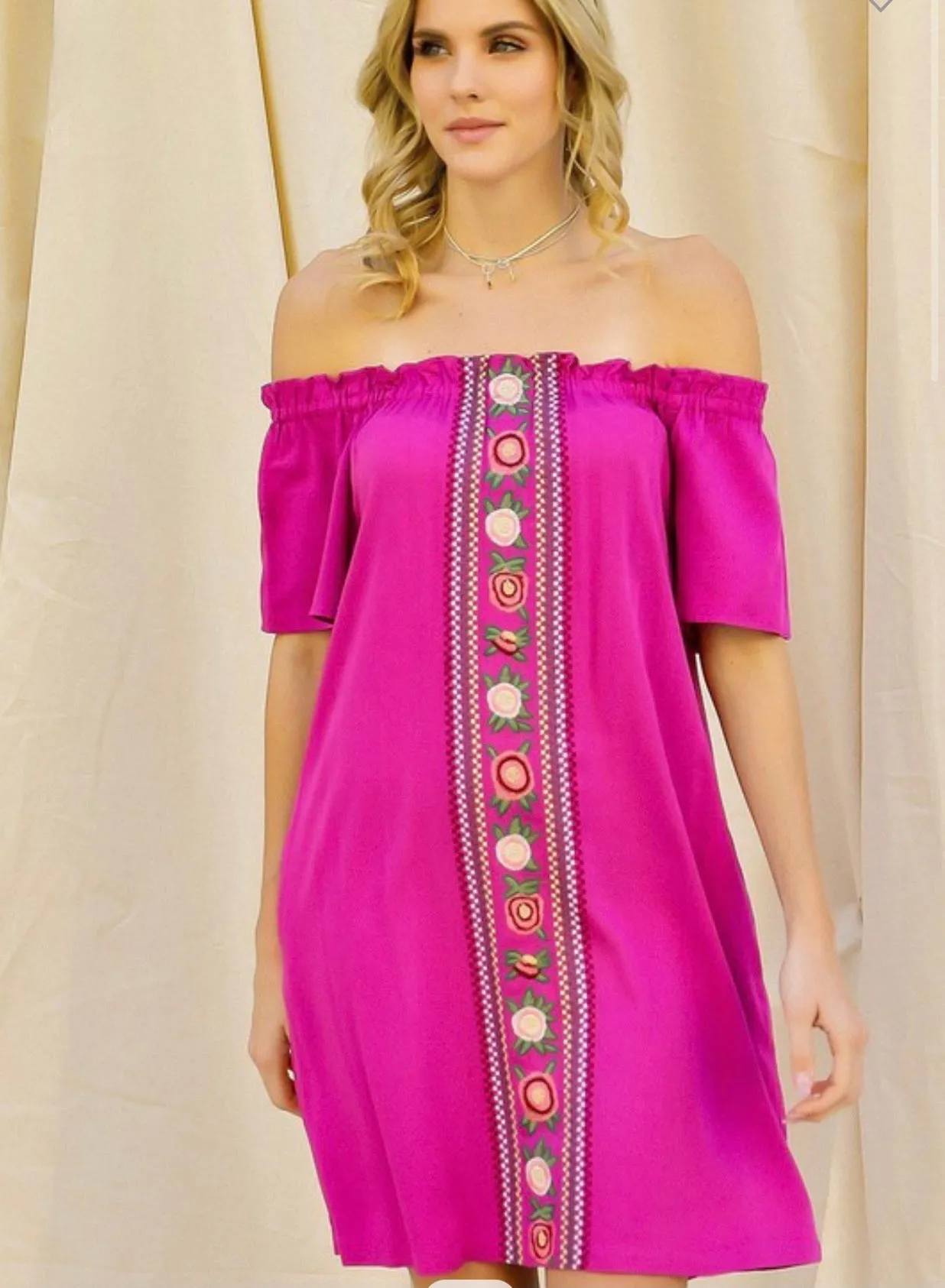 Feeling Fancy Embroidered Dress