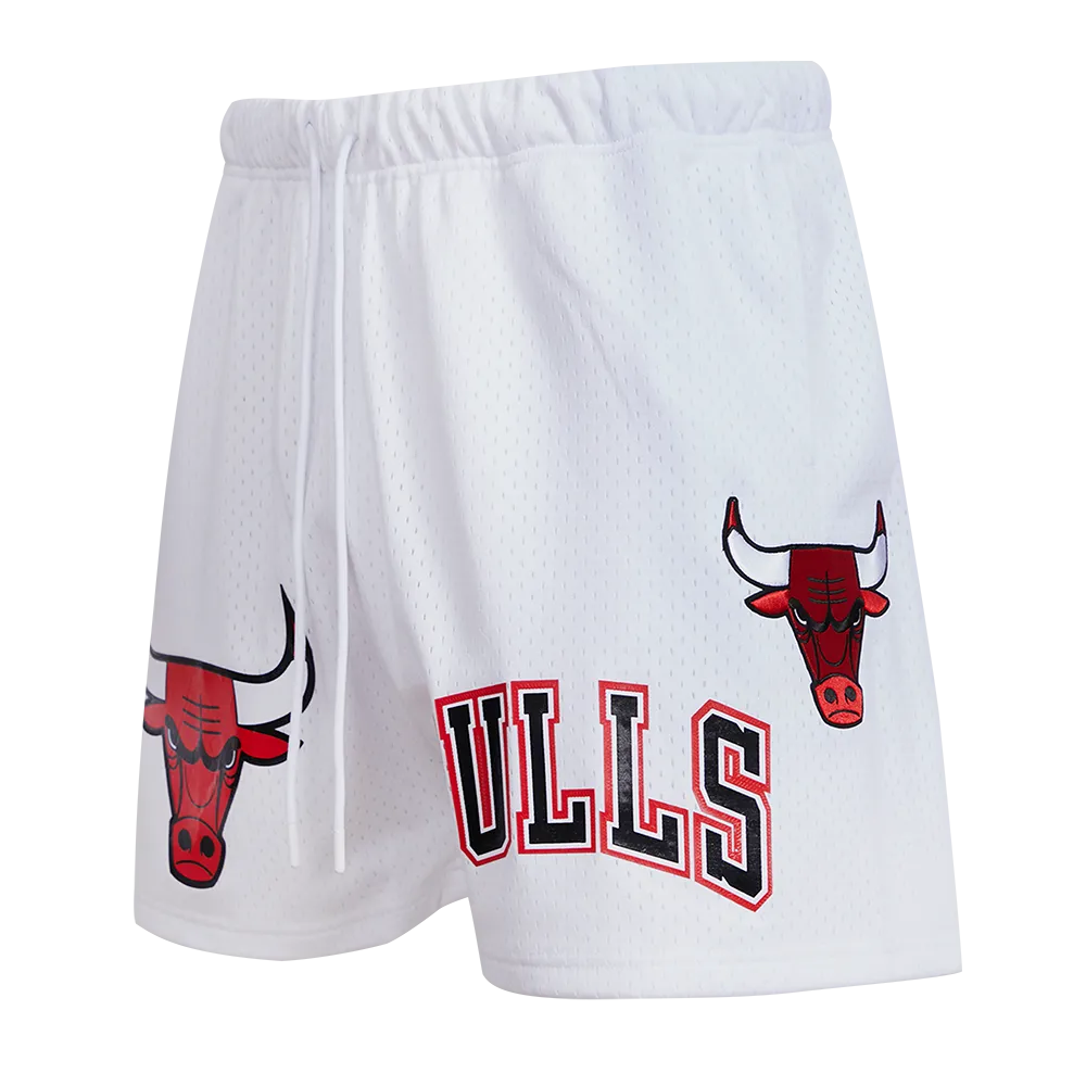 NBA CHICAGO BULLS LOGO MEN'S MESH SHORT (WHITE)