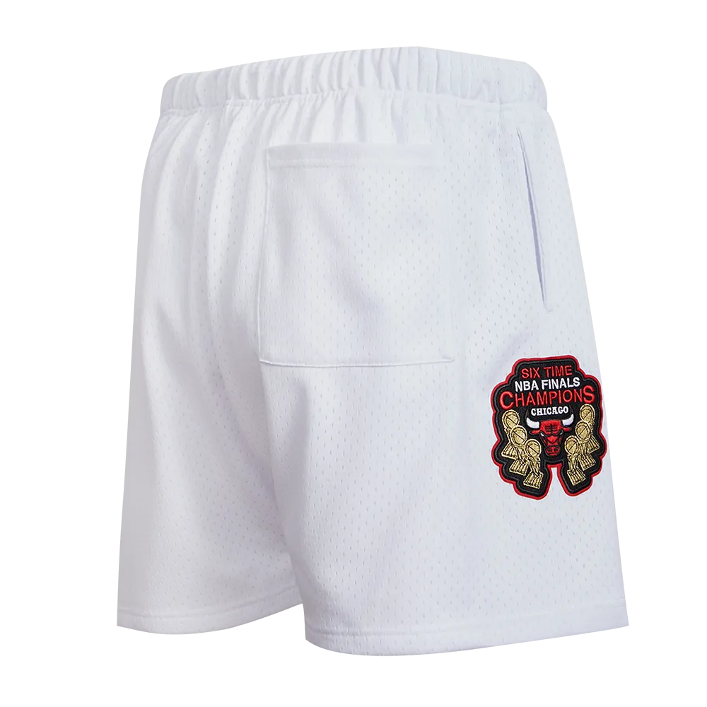 NBA CHICAGO BULLS LOGO MEN'S MESH SHORT (WHITE)